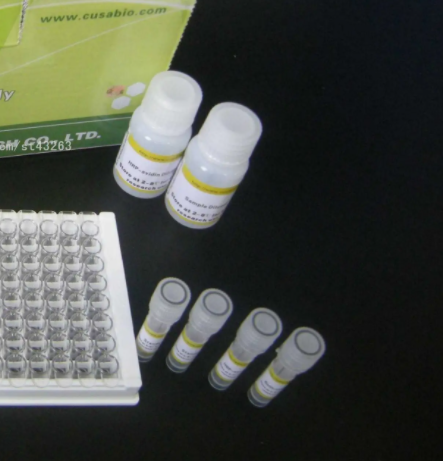 人乳頭瘤病毒染料法熒光定量PCR試劑盒,Human Papillomavirus (HPV)