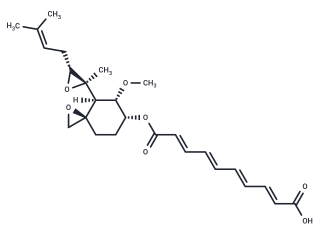 煙曲霉素,Fumagillin