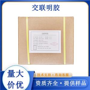 交联明胶