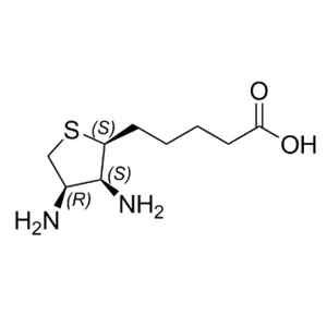 生物素EP杂质C
