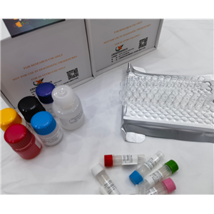 小鼠糖化血紅蛋白A1c(HbA1c)ELISA試劑盒