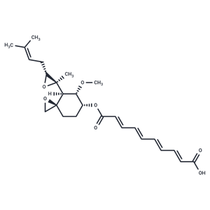 煙曲霉素,Fumagillin
