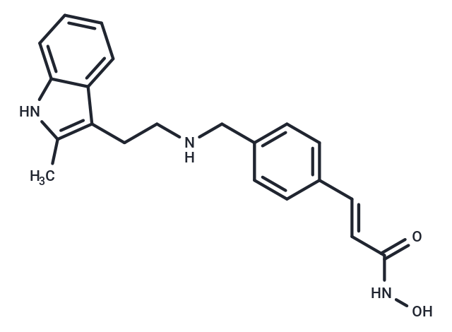 帕比司他,Panobinostat