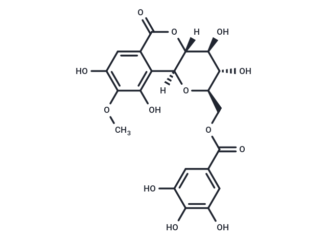 11-O-沒食子酰巖白菜素,11-O-Galloylbergenin