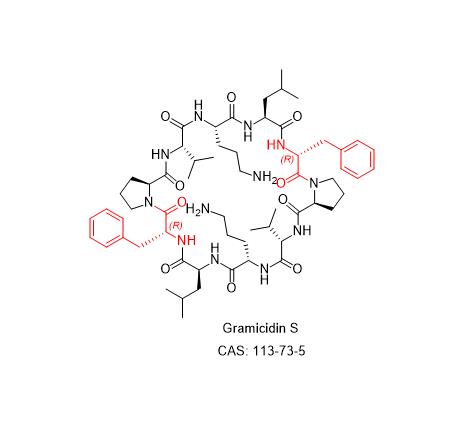 Gramicidin S,Gramicidin S