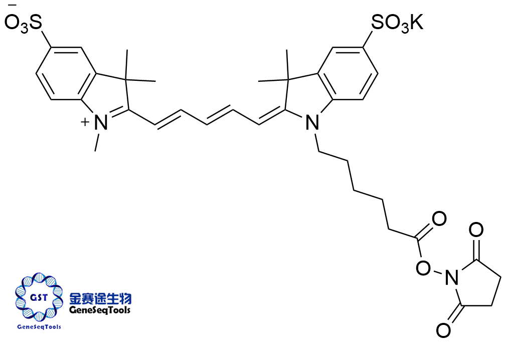 磺基-菁5 NHS酯,sulfo-Cyanine5 NHS ester;Sulfo-Cy5 NHS Ester