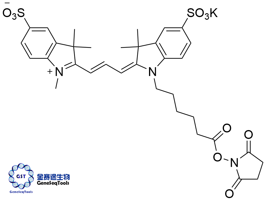 磺基-菁3 NHS酯,sulfo-Cyanine3 NHS ester;Cy3 NHS Ester