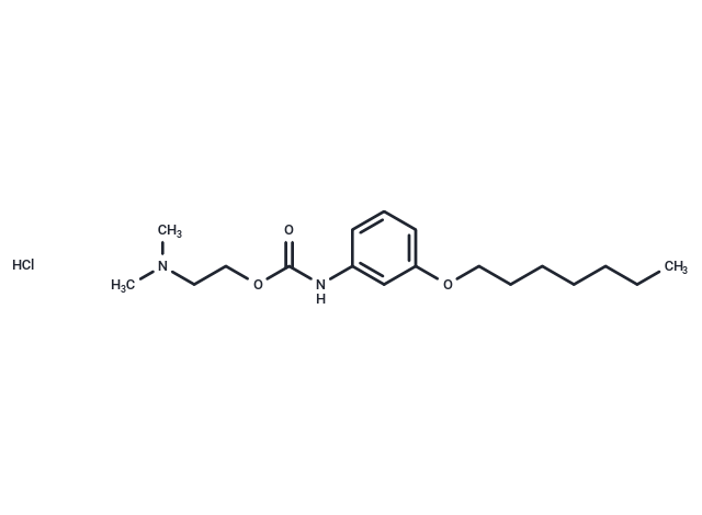 化合物 Carbanilic acid, m-heptyloxy-, 2-(dimethylamino)ethyl ester, hydrochloride,Carbanilic acid, m-heptyloxy-, 2-(dimethylamino)ethyl ester, hydrochloride