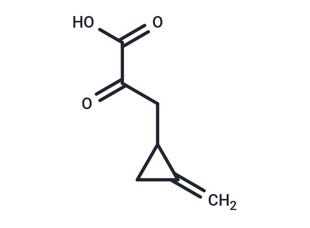 化合物 Ketohypoglycin,Ketohypoglycin