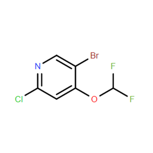 5-溴-2-氯-4-(二氟甲氧基)吡啶,5-Bromo-2-chloro-4-(difluoromethoxy)pyridine