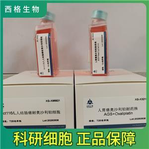 HCC1187人乳腺癌細(xì)胞,HCC1187