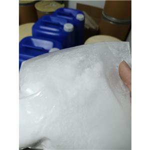螺內(nèi)酯,Spironolactone