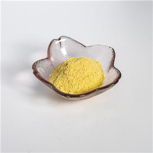 南瓜冻干粉,Pulvis cucurbitae moschatae cryodesiccatus