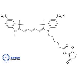 磺基-菁5 NHS酯,sulfo-Cyanine5 NHS ester;Sulfo-Cy5 NHS Ester