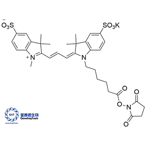 1424150-38-8 | sulfo-Cyanine3 NHS ester;Cy3 NHS Ester