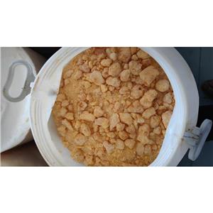 孕酮； 黄体素； 黄体酮,Progesterone