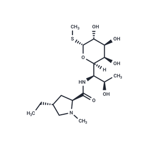 化合物 Lincomycin-B|T25732|TargetMol