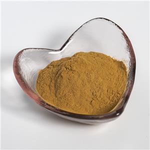 珍珠草提取物,Extractum Phyllanthi niruri
