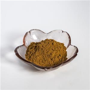 丹參提取物,Extractum Salviae miltiorrhizae