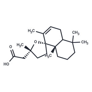 化合物 Grindelic acid|T125862|TargetMol