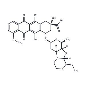 化合物 PNU-159682 carboxylic acid|T19523|TargetMol