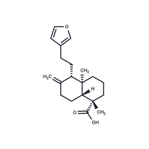 化合物 Lambertianic acid|T25605|TargetMol
