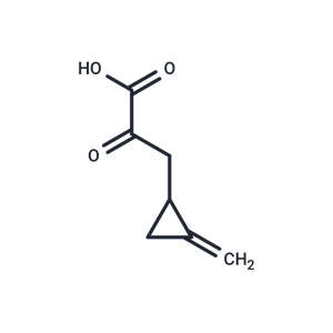 化合物 Ketohypoglycin|T25572|TargetMol