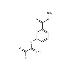 化合物 Chorismeron|T125415|TargetMol