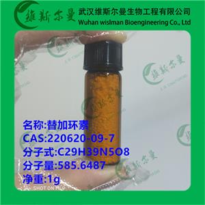 替加環(huán)素   220620-09-7 現(xiàn)貨
