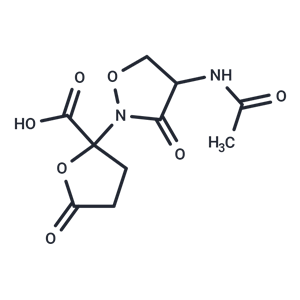 化合物 Lactivicin|T25597|TargetMol