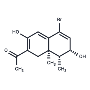 化合物 Antiproliferative agent-48|T85700|TargetMol