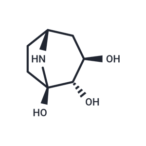 化合物 Calystegine A3|T126061|TargetMol