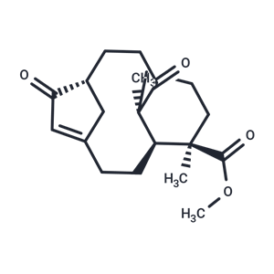 化合物 Foetidin|T123972|TargetMol