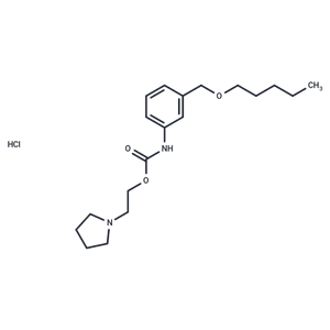 化合物 Carbanilic acid, m-((pentyloxy)methyl)-, 2-(1-pyrrolidinyl)ethyl ester, hydrochloride|T30718|TargetMol