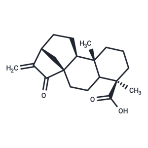 化合物 Kaur-16-en-18-oic acid, 15-oxo- (7CI,8CI)|T124445|TargetMol