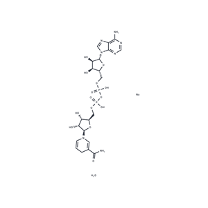 化合物 NADH disodium hydrate|T86953|TargetMol