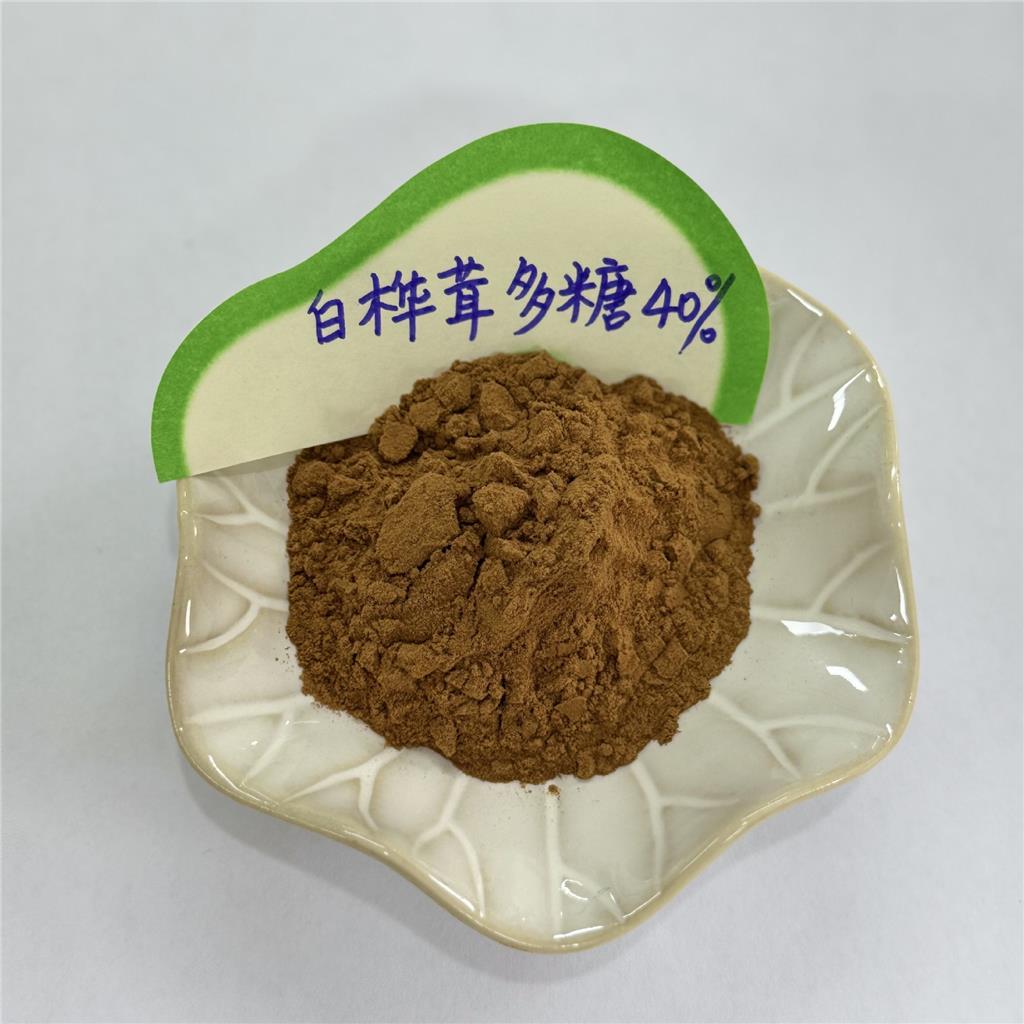 白桦茸多糖,Polysaccharidum Inonoti obliquae