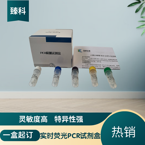 金黄色葡萄球菌肠毒素A型核酸检测试剂盒（实时荧光PCR法）