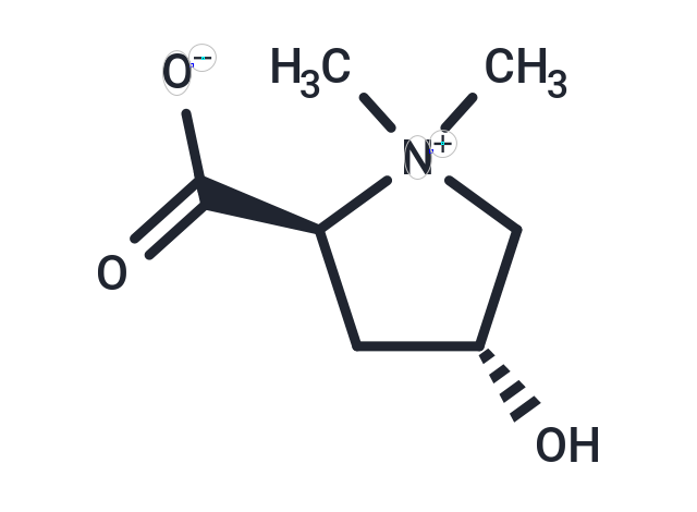 化合物 Betonicine,Betonicine