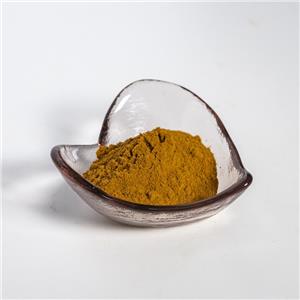 枸杞提取物,Extractum Lycii barbarum