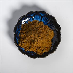 菊苣提取物,Extractum Cichorii intybi