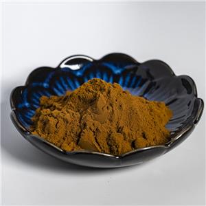 菊苣提取物,Extractum Cichorii intybi