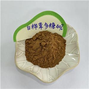 白桦茸多糖,Polysaccharidum Inonoti obliquae