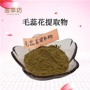 毛蕊花提取物