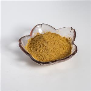黃芪提取物,Extractum Astragali membranacei