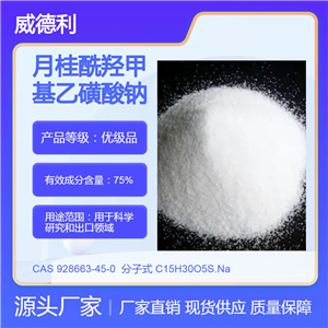 月桂酰羥甲基乙磺酸鈉 928663-45-0