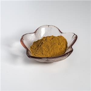 益母草提取物,Extractum Leonuri japonicum