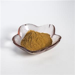 赶黄草提取物