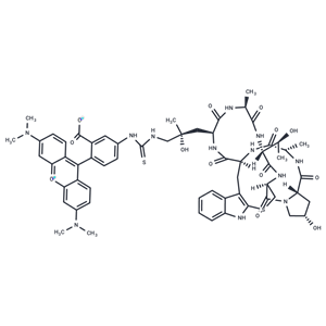 Phalloidin-TRITC|T41056|TargetMol