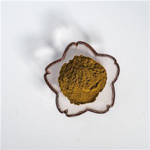 白英提取物,Extractum Solani lyratiae